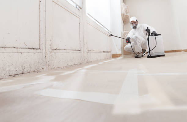 24/7 Emergency Black Mold Remediation experts in Erie, IL