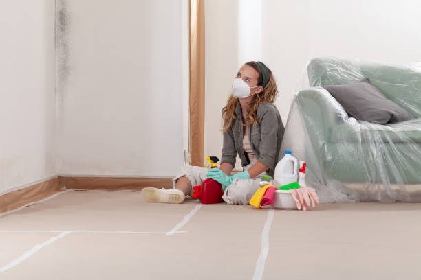 Reliable Black Mold Remediation contractor in Erie, IL by Mold Remediation HQ